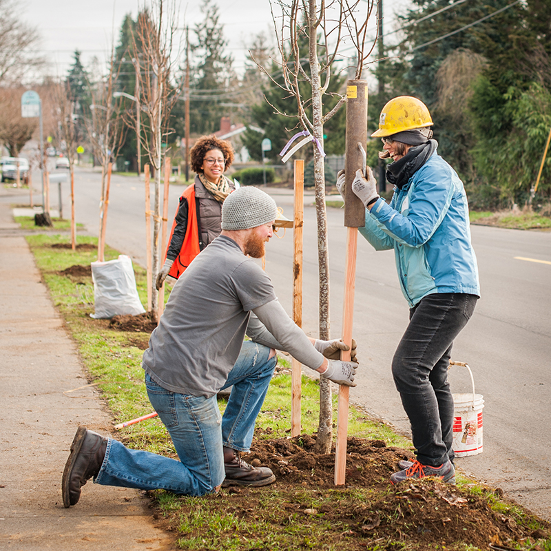 Tree Planter