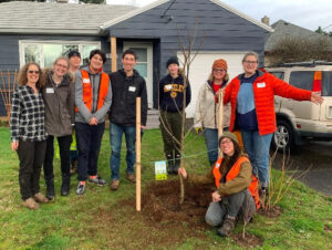 A new tree in East Portland - planted by volunteers!
