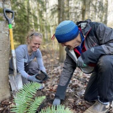 green space planting